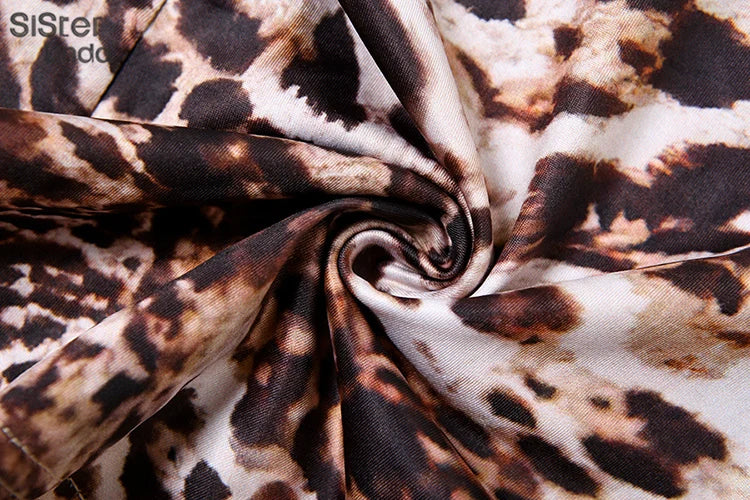 Leopard Color Long Sleeve Dress