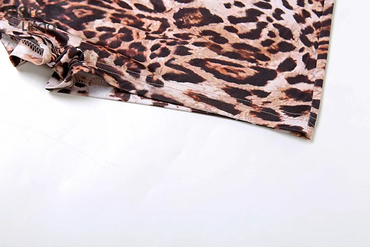 Leopard Color Long Sleeve Dress